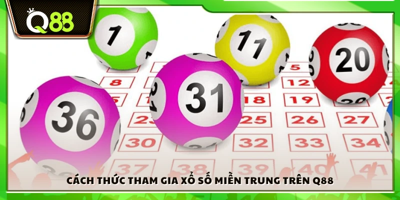 Quy trình tham gia trên nền tảng Q88